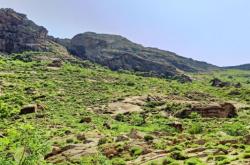 赤峰林東鞭炮廠電話號碼