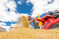 赤峰老劉頭采摘園電話多少號