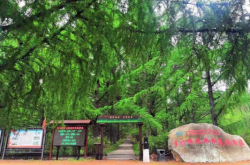 赤峰青少年校外基地電話號碼