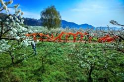 赤峰紅山區(qū)龍燈社區(qū)電話號(hào)碼