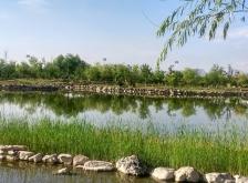 赤峰林東鎮(zhèn)娟子飯店電話號碼