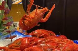 赤峰小桔子攝影電話多少號(hào)