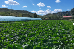 赤峰市勞動(dòng)基地電話號(hào)碼