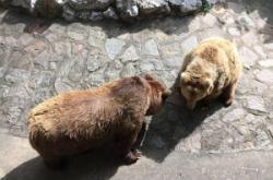 赤峰機場動物園電話號碼