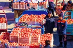 赤峰明運(yùn)倉(cāng)儲(chǔ)電話多少號(hào)