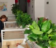 赤峰三原公司電話號(hào)碼是多少