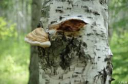 豐潤(rùn)到赤峰班車電話號(hào)碼是多少