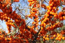 敖漢韓尚浴營業(yè)時間