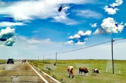 赤峰去大板路況查詢電話是多少