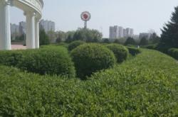 赤峰市敖漢旗蘋果售后電話號碼