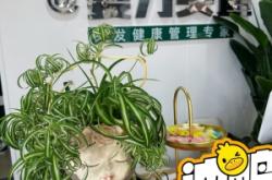 赤峰高價(jià)回收頭發(fā)店電話號(hào)碼