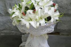 赤峰市批發(fā)鮮花電話地址查詢