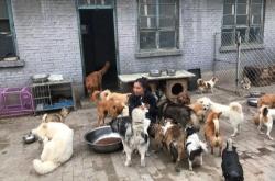 赤峰狗狗收養(yǎng)中心地址電話號(hào)碼