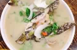 赤峰領(lǐng)航觀賞魚電話地址查詢