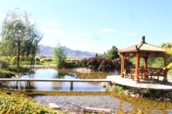 赤峰市區(qū)撿石頭養(yǎng)魚電話號(hào)碼