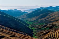 赤峰金達(dá)評戲團(tuán)電話地址查詢