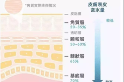 赤峰修復紅血絲醫(yī)院電話號碼