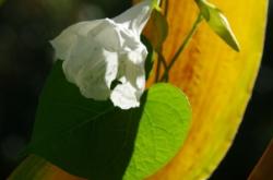 赤峰黑心代駕電話號碼多少