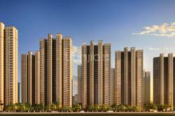 赤峰金鑾糧油店電話多少號