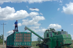 赤峰小米秸稈回收站電話號碼