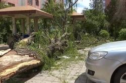 赤峰市永巨街辦電話號碼