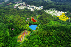 易門麥子田赤峰店地址電話號(hào)碼