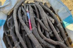 赤峰狗籠批發(fā)電話地址查詢