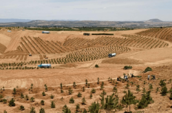 赤峰百姓求雨電話(huà)地址查詢(xún)