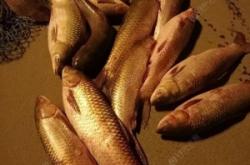 赤峰水泉釣魚場電話多少號