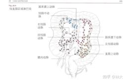 赤峰附屬醫(yī)院腸鏡科電話號碼