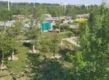 赤峰寧城大榛子基地電話號(hào)碼