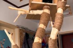 赤峰貓木屋書店電話號碼查詢