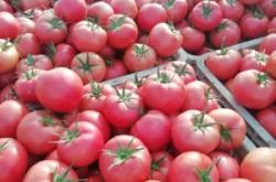 赤峰百微生活超市電話號碼