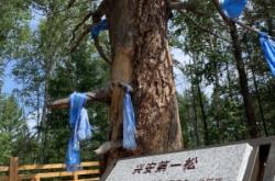 赤峰到阿爾山公交車電話號(hào)碼