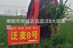 內(nèi)蒙禾為貴種業(yè)公司官網(wǎng)