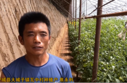 赤峰大城子市場(chǎng)電話號(hào)碼查詢