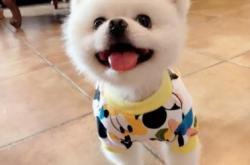 赤峰紅山貓舍電話號(hào)碼查詢