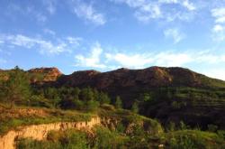 赤峰紅山區(qū)聯(lián)防聯(lián)控電話號(hào)碼