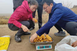 赤峰壓片玉米加工廠電話號碼