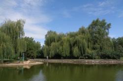 赤峰新城賣花電話多少號(hào)碼