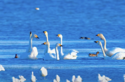 赤峰創(chuàng)典美發(fā)電話地址查詢