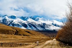 圍場(chǎng)去赤峰的拼車電話號(hào)碼