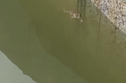 赤峰平莊維麥蛋糕電話號(hào)碼