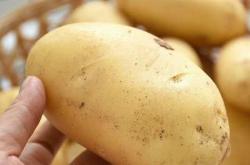 赤峰超市榴蓮糖店地址電話號(hào)碼