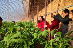 赤峰種植基地公司電話號碼查詢