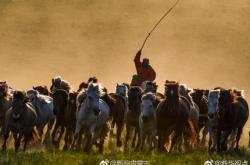 赤峰景區(qū)騎馬宰客電話號(hào)碼查詢