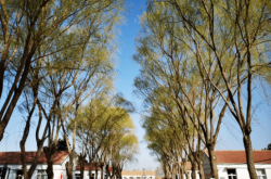 玉田到赤峰小車電話號碼多少