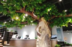 赤峰眾創(chuàng)咖啡電話地址在哪里