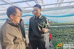 赤峰蔬菜育苗公司地址電話號碼