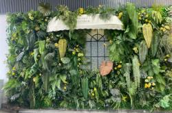 赤峰植物墻廠商電話(huà)號(hào)碼查詢(xún)